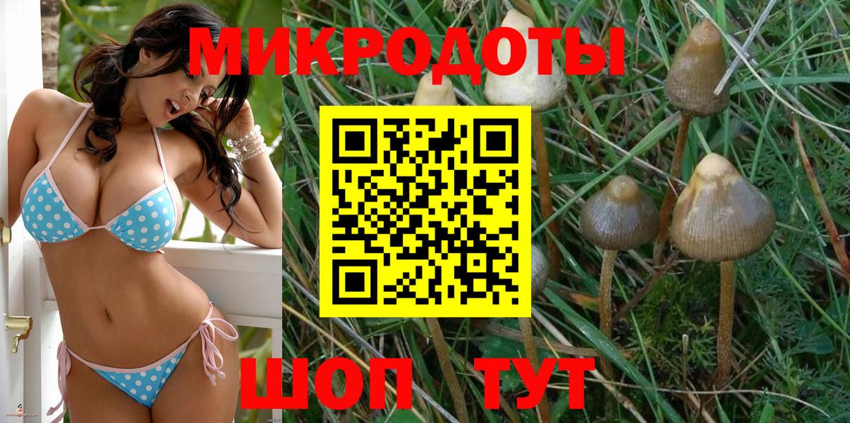 Псилоцибиновые грибы прущие грибы  Вход с VPN  Галлюциногенные грибы Cubensis  Ишим 